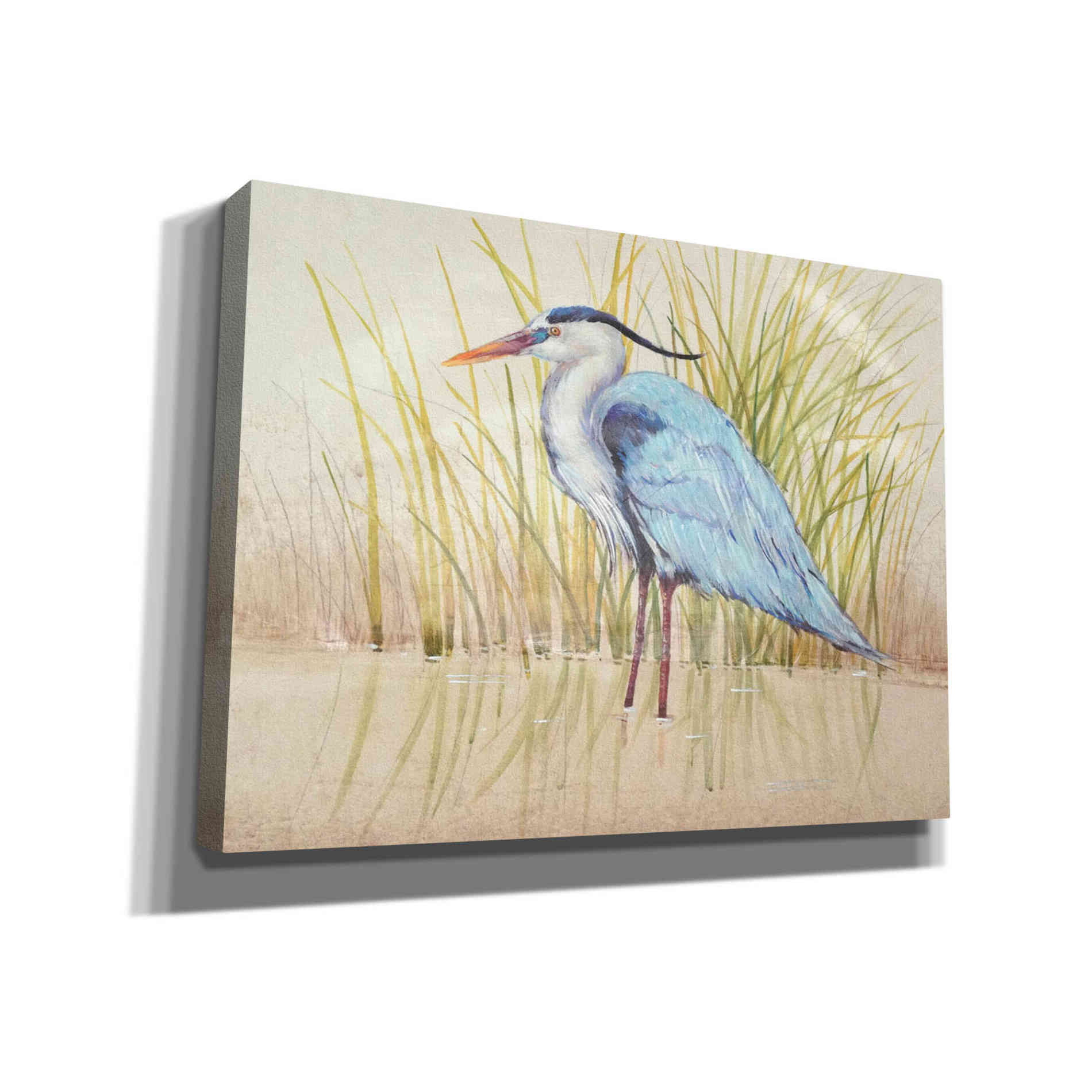 'Heron & Reeds II' by Tim O'Toole, Canvas Wall Art