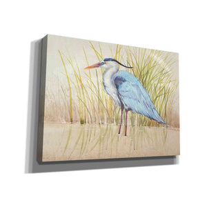 'Heron & Reeds II' by Tim O'Toole, Canvas Wall Art