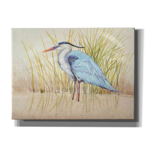 Image of 'Heron & Reeds II' by Tim O'Toole, Canvas Wall Art
