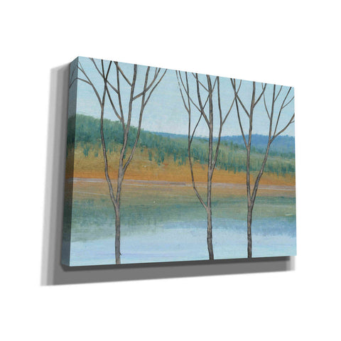 Image of 'Between Water III' by Tim O'Toole, Canvas Wall Art