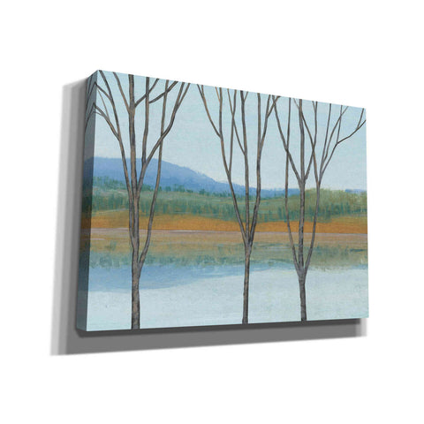 Image of 'Between Water IV' by Tim O'Toole, Canvas Wall Art