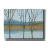 'Between Water IV' by Tim O'Toole, Canvas Wall Art