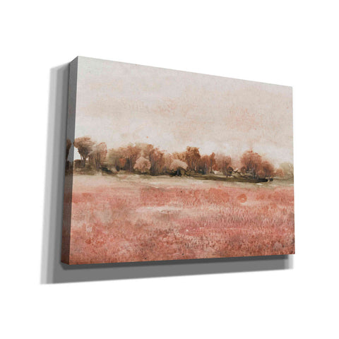 Image of 'Red Soil I' by Tim O'Toole, Canvas Wall Art