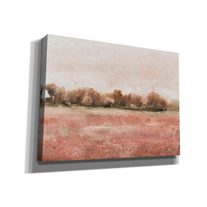 'Red Soil I' by Tim O'Toole, Canvas Wall Art