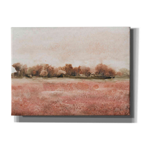 Image of 'Red Soil I' by Tim O'Toole, Canvas Wall Art