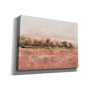 'Red Soil II' by Tim O'Toole, Canvas Wall Art
