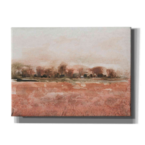 Image of 'Red Soil II' by Tim O'Toole, Canvas Wall Art