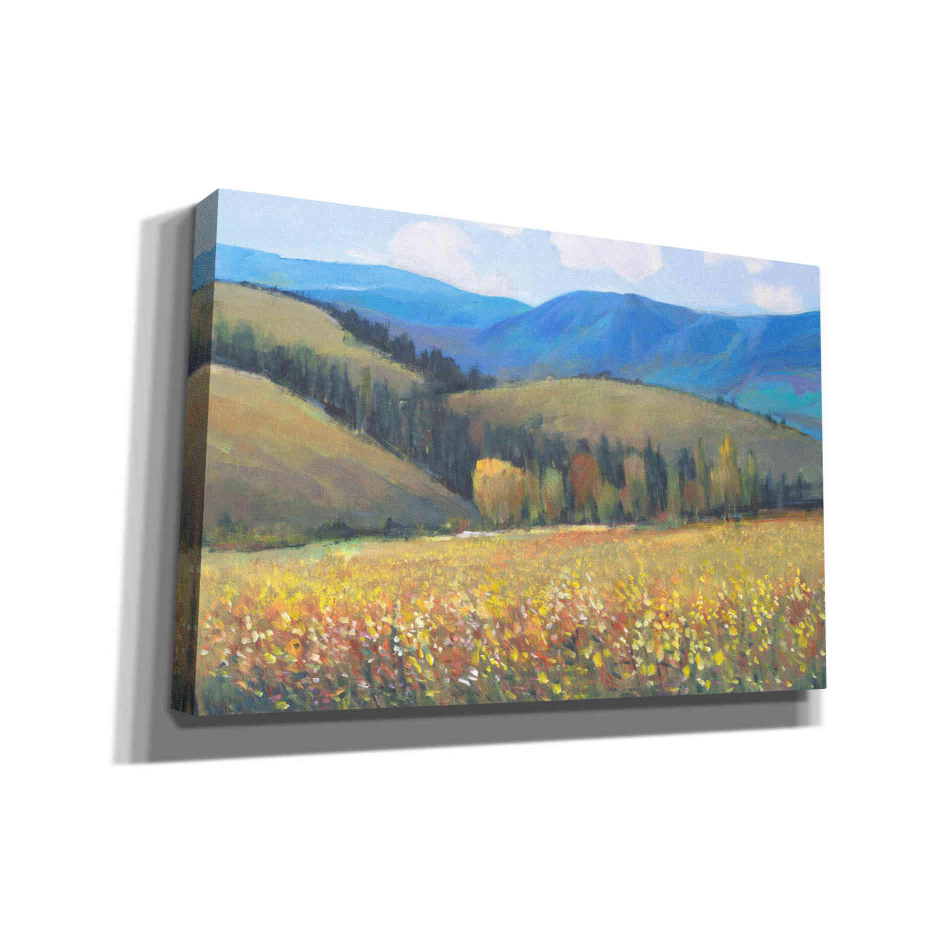 'Mountain Pass I' by Tim O'Toole, Canvas Wall Art