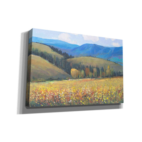 Image of 'Mountain Pass I' by Tim O'Toole, Canvas Wall Art