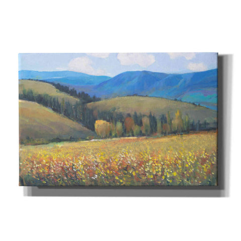 Image of 'Mountain Pass I' by Tim O'Toole, Canvas Wall Art