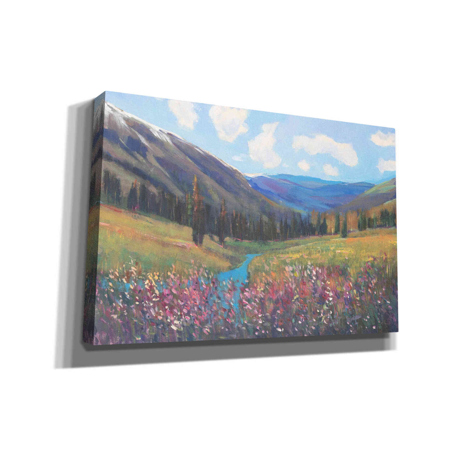 'Mountain Pass II' by Tim O'Toole, Canvas Wall Art