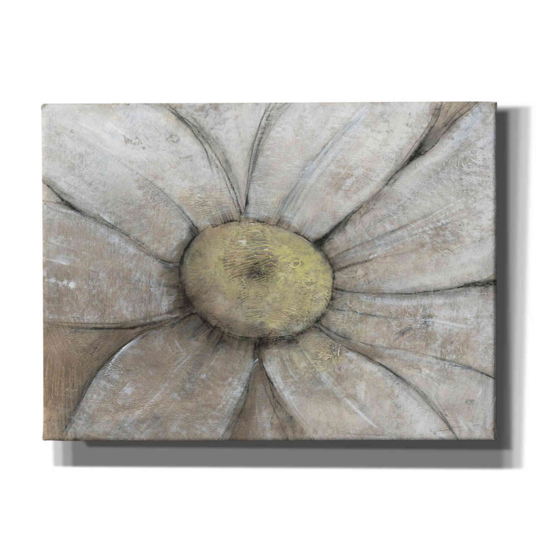 'Close-Up Daisy II' by Tim O'Toole, Canvas Wall Art