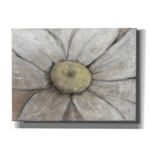 Image of 'Close-Up Daisy II' by Tim O'Toole, Canvas Wall Art