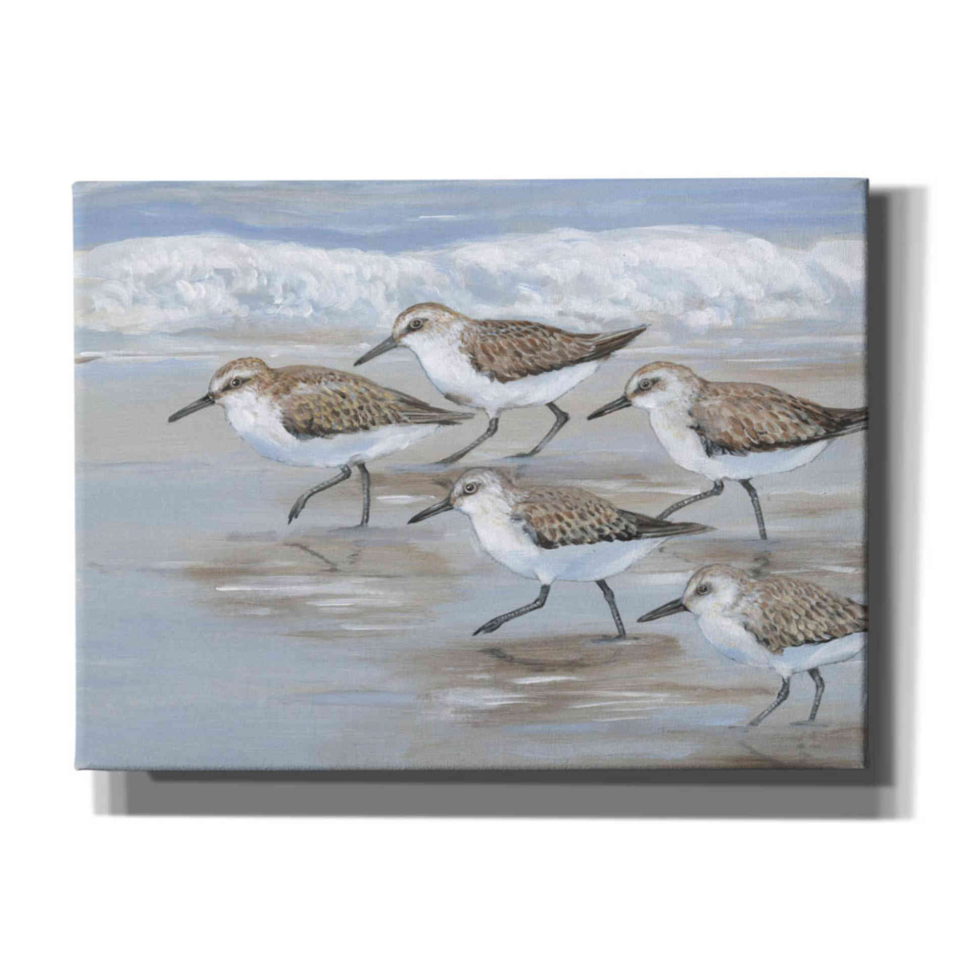 'Sandpipers I' by Tim O'Toole, Canvas Wall Art