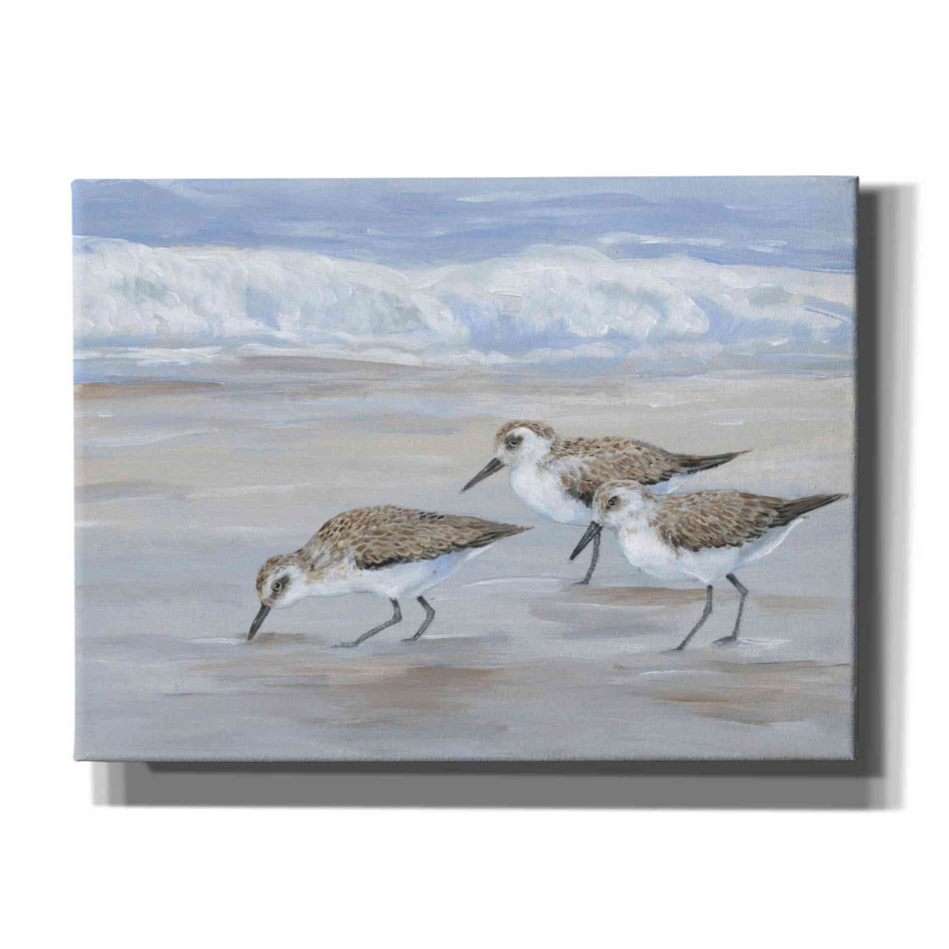 'Sandpipers II' by Tim O'Toole, Canvas Wall Art