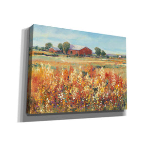 'Country View II' by Tim O'Toole, Canvas Wall Art