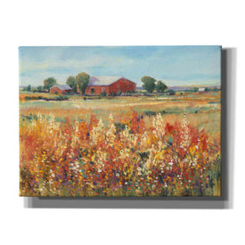 'Country View II' by Tim O'Toole, Canvas Wall Art