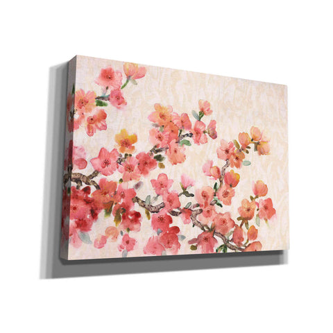 Image of 'Cherry Blossom Composition II' by Tim O'Toole, Canvas Wall Art