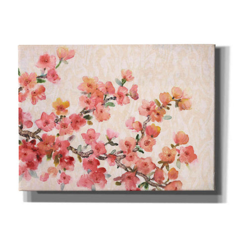 Image of 'Cherry Blossom Composition II' by Tim O'Toole, Canvas Wall Art