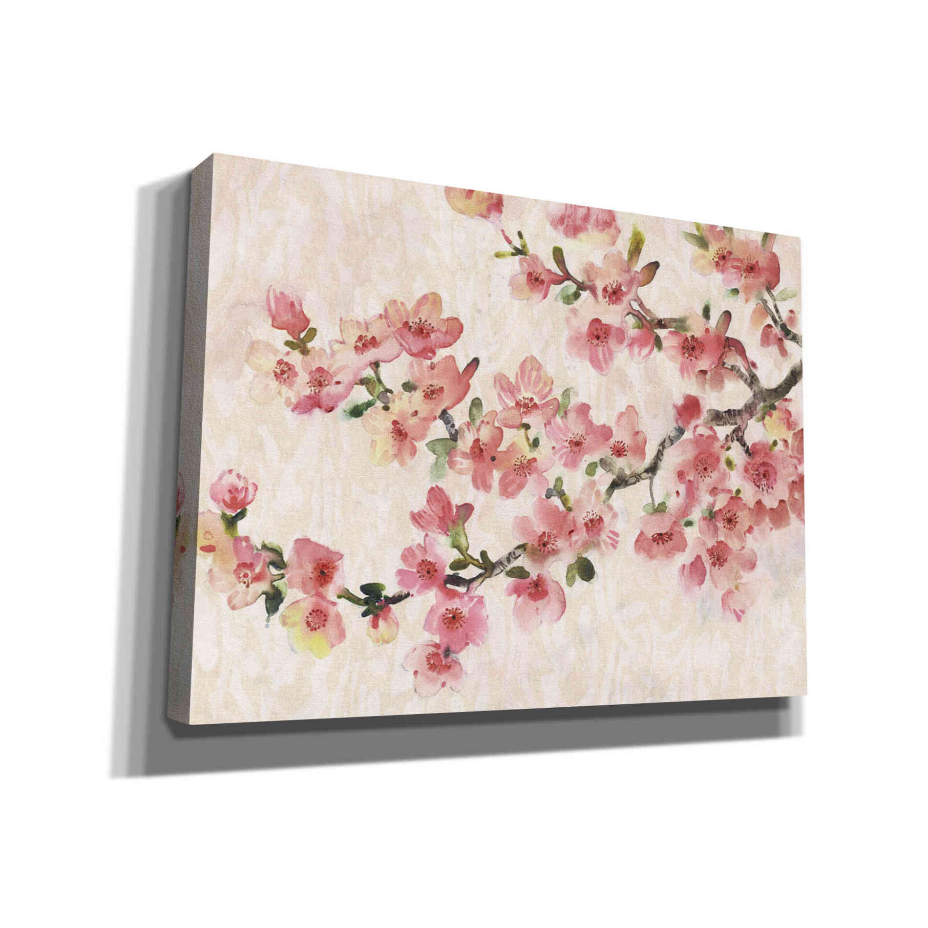 'Cherry Blossom Composition I' by Tim O'Toole, Canvas Wall Art