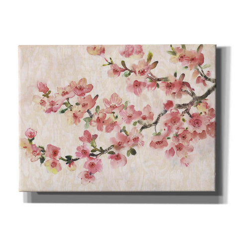 Image of 'Cherry Blossom Composition I' by Tim O'Toole, Canvas Wall Art