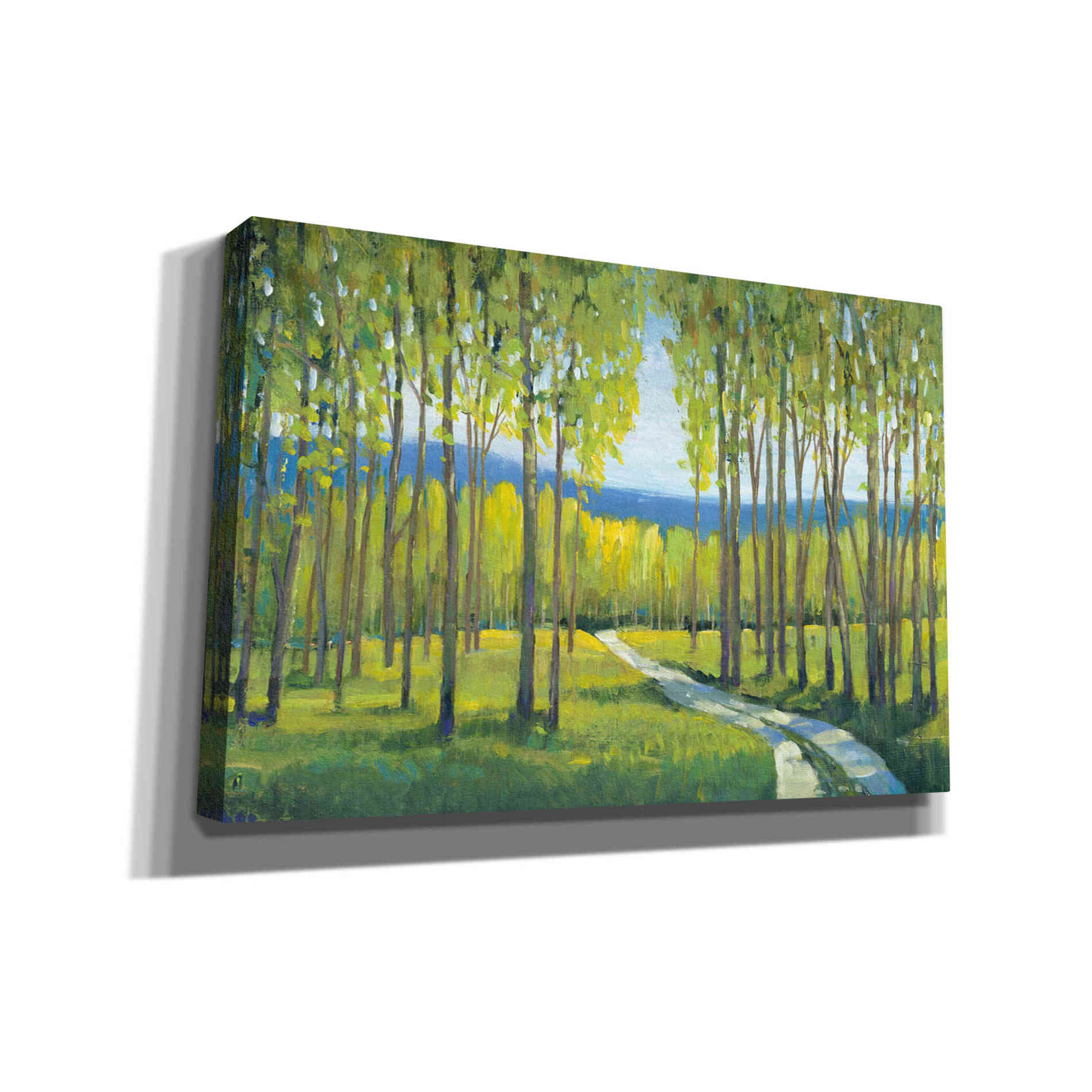 'Morning Stroll I' by Tim O'Toole, Canvas Wall Art