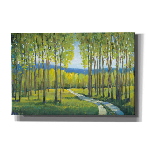 Image of 'Morning Stroll I' by Tim O'Toole, Canvas Wall Art