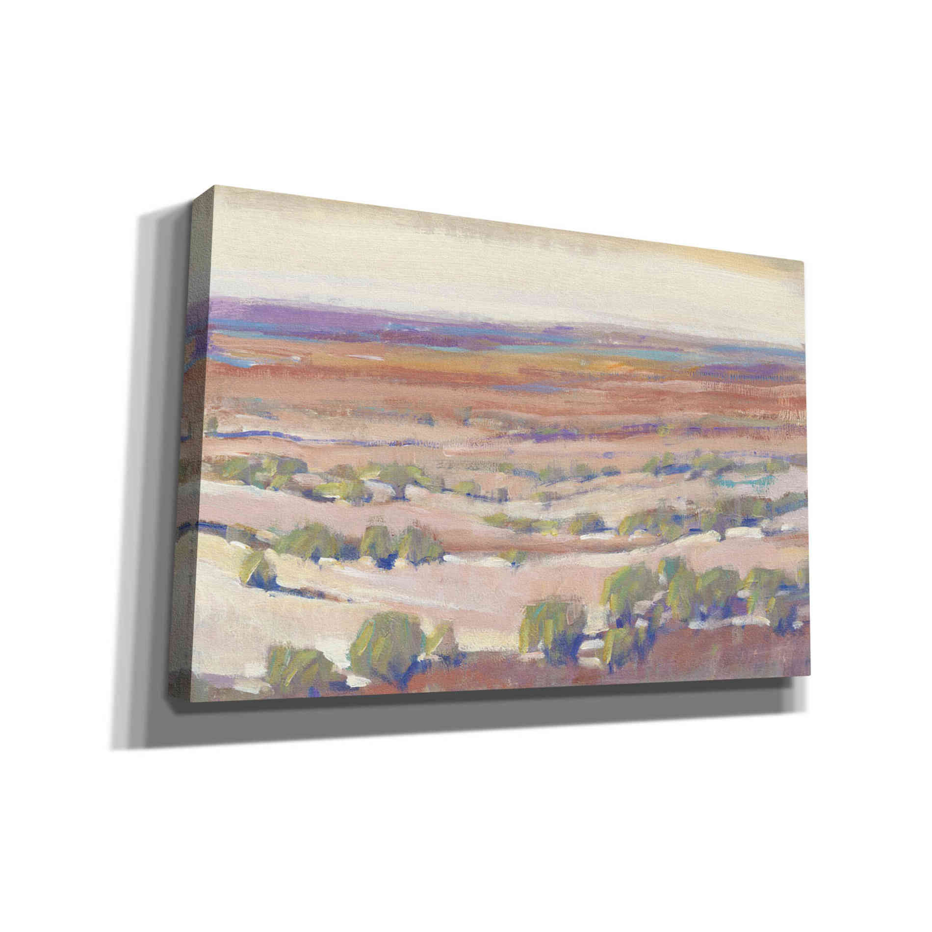 'High Desert Pastels I' by Tim O'Toole, Canvas Wall Art