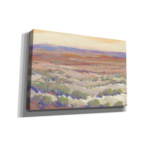 'High Desert Pastels II' by Tim O'Toole, Canvas Wall Art