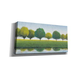 'Trees in a Line I' by Tim O'Toole, Canvas Wall Art