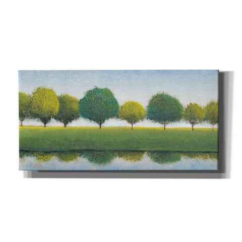 Image of 'Trees in a Line I' by Tim O'Toole, Canvas Wall Art