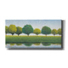 'Trees in a Line I' by Tim O'Toole, Canvas Wall Art