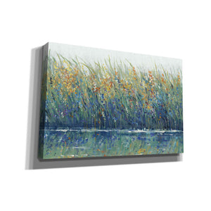 'Wildflower Reflection II' by Tim O'Toole, Canvas Wall Art