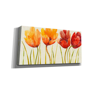 'Row of Tulips I' by Tim O'Toole, Canvas Wall Art