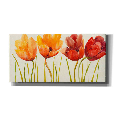 Image of 'Row of Tulips I' by Tim O'Toole, Canvas Wall Art
