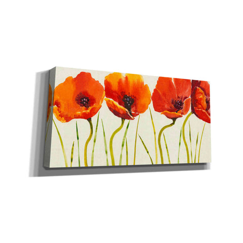 Image of 'Row of Tulips II' by Tim O'Toole, Canvas Wall Art