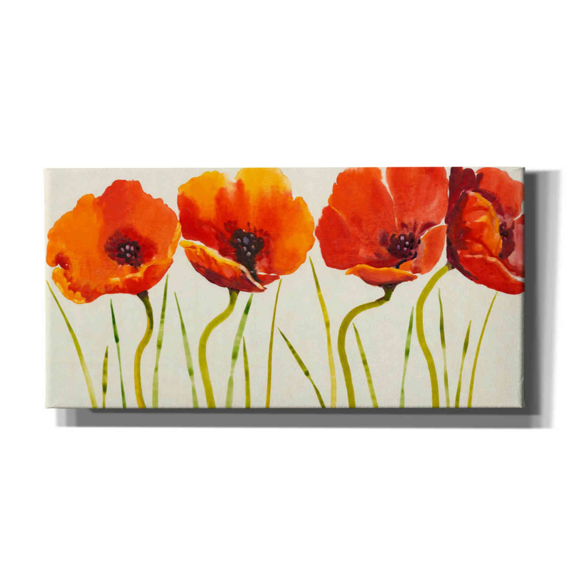 'Row of Tulips II' by Tim O'Toole, Canvas Wall Art