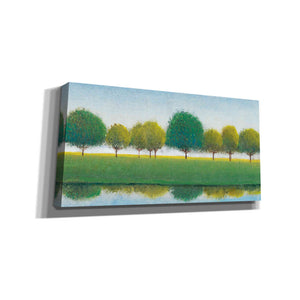 'Trees in a Line II' by Tim O'Toole, Canvas Wall Art