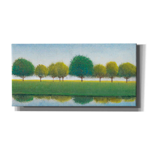 Image of 'Trees in a Line II' by Tim O'Toole, Canvas Wall Art