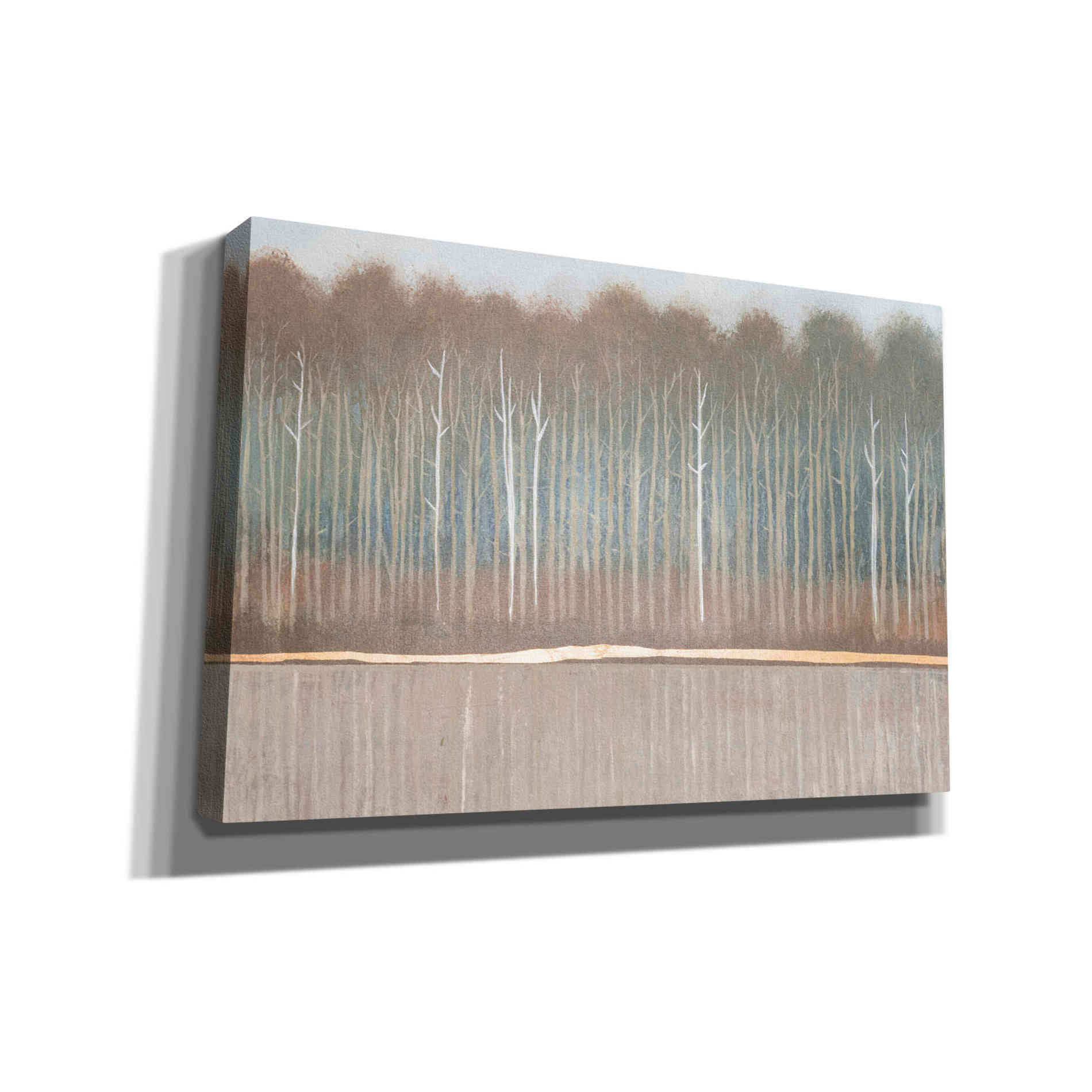 'Along the River Bank II' by Tim O'Toole, Canvas Wall Art