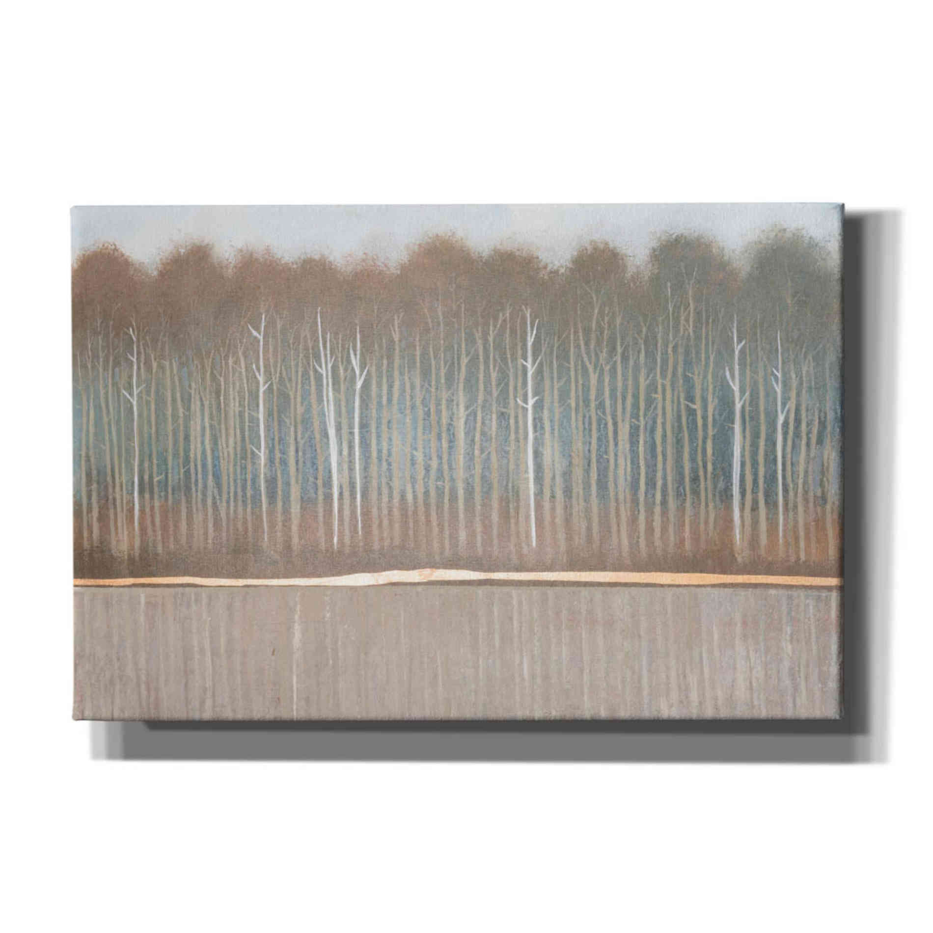 'Along the River Bank II' by Tim O'Toole, Canvas Wall Art