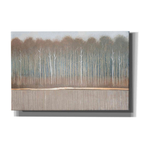Image of 'Along the River Bank II' by Tim O'Toole, Canvas Wall Art