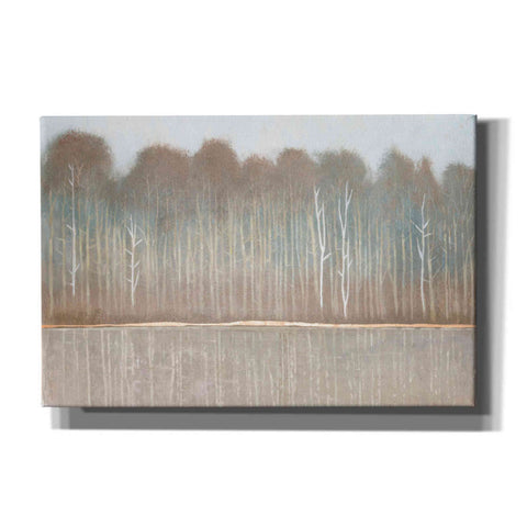 Image of 'Along the River Bank I' by Tim O'Toole, Canvas Wall Art