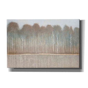 'Along the River Bank I' by Tim O'Toole, Canvas Wall Art