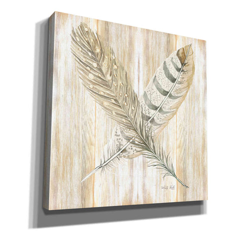 Image of 'Feathers Crossed II' by Cindy Jacobs, Canvas Wall Art
