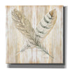 'Feathers Crossed II' by Cindy Jacobs, Canvas Wall Art