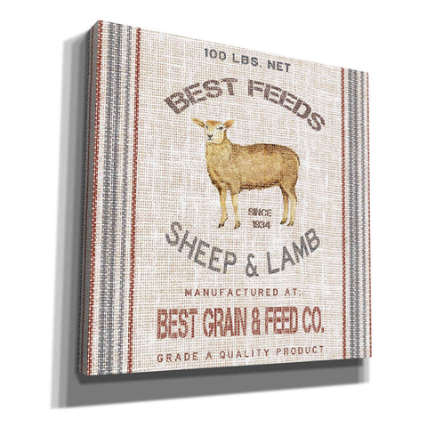 Image of 'Best Feeds' by Cindy Jacobs, Canvas Wall Art