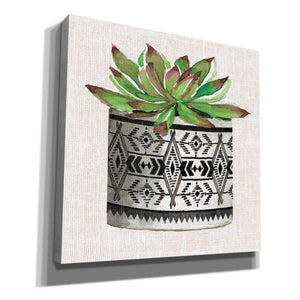 'Cactus Mud Cloth Vase I' by Cindy Jacobs, Canvas Wall Art