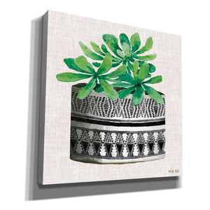 'Cactus Mud Cloth Vase II' by Cindy Jacobs, Canvas Wall Art