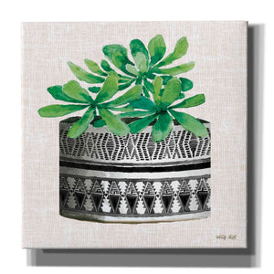 'Cactus Mud Cloth Vase II' by Cindy Jacobs, Canvas Wall Art